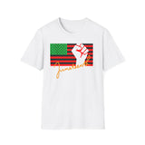 Juneteenth African American Flag Graphic Tee, Unisex Softstyle T-Shirt, Statement Shirt, Gift for Art Lovers, Festival Wear