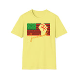 Juneteenth African American Flag Graphic Tee, Unisex Softstyle T-Shirt, Statement Shirt, Gift for Art Lovers, Festival Wear