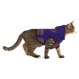 African Print Pet Hoodie - Purple & Gold Dashiki